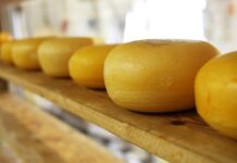 Ile jest rodzajów sera?